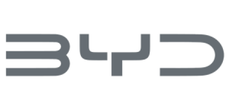 Logo Byd Pik